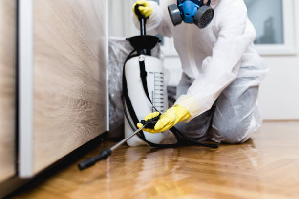 Best Wildlife Control Services  in Redan, GA
