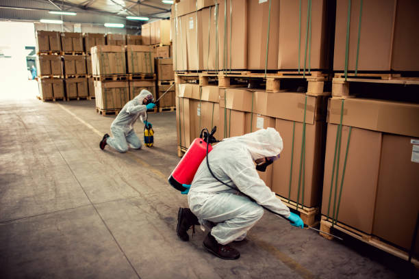 Best Best Pest Control Companies  in Redan, GA