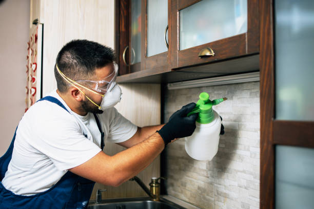 Best Local Pest Control Services  in Redan, GA