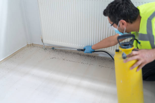 Best Pest Control Treatment  in Redan, GA