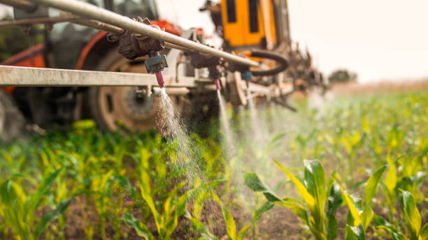 Best Mosquito Control Services  in Redan, GA